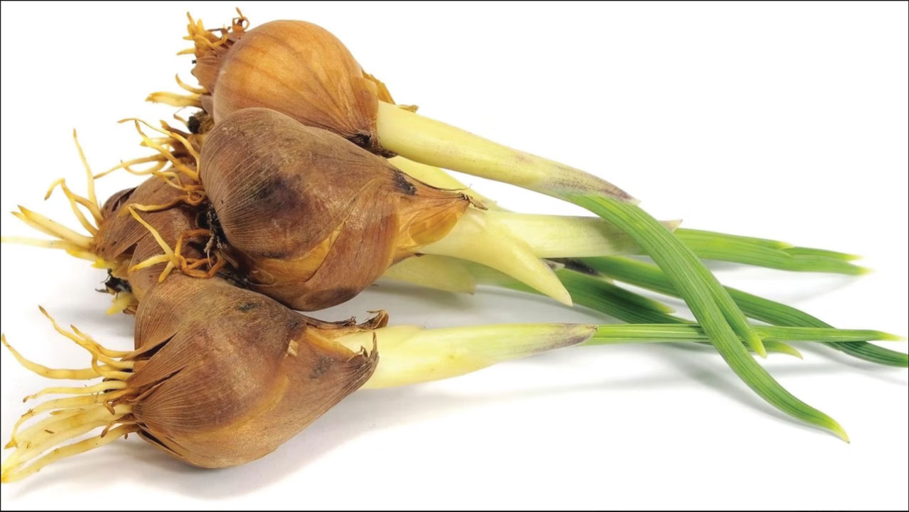 香精與香料(19)-香精的分類、配制與調(diào)和