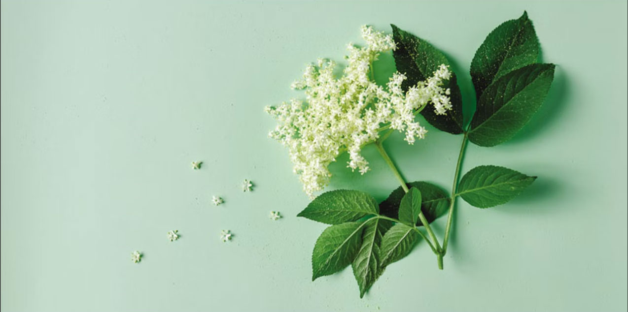 香精與香料(19)-香精的分類、配制與調(diào)和