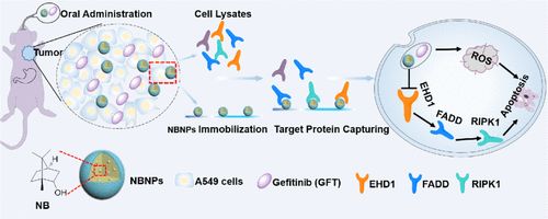 香精與香料(31)—龍腦