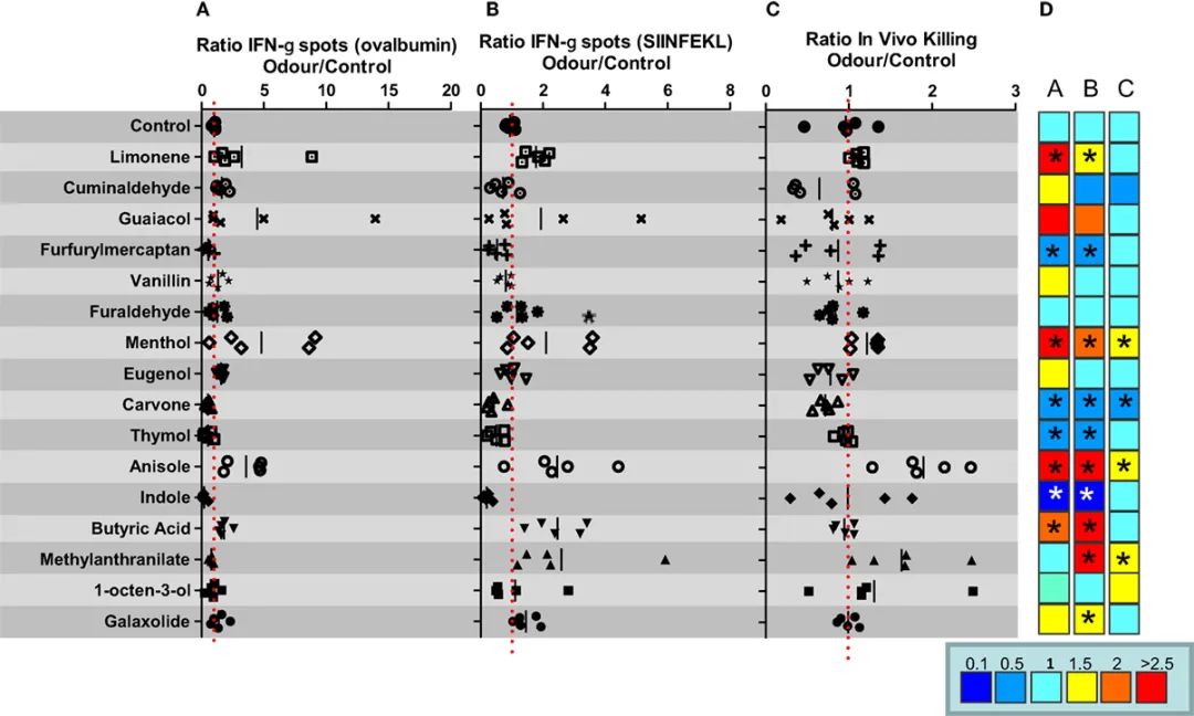 香精與香料(47)—香芹酮與葛縷子、留蘭香、蒔蘿