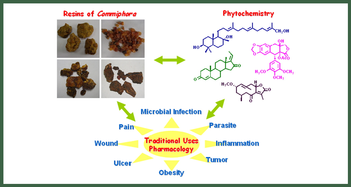 香精與香料(84)—沒藥香 香精與香料(84)—沒藥香