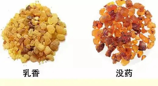 乳香，Boswellia Carterri Birdw 橄欖科