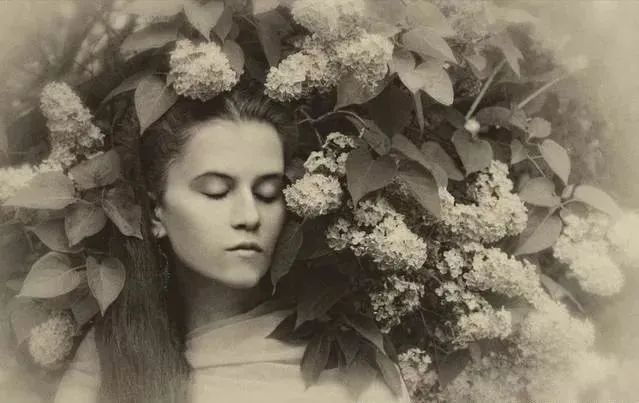 芳香療法，一個(gè)起源于5000年前的神秘學(xué)科