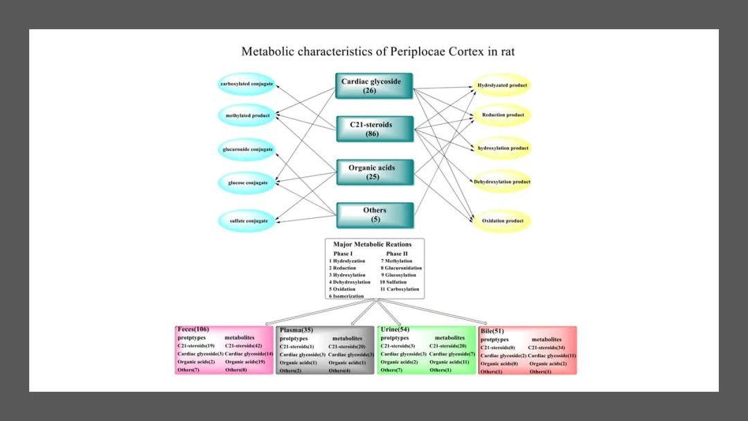 香精與香料(129)—香加皮