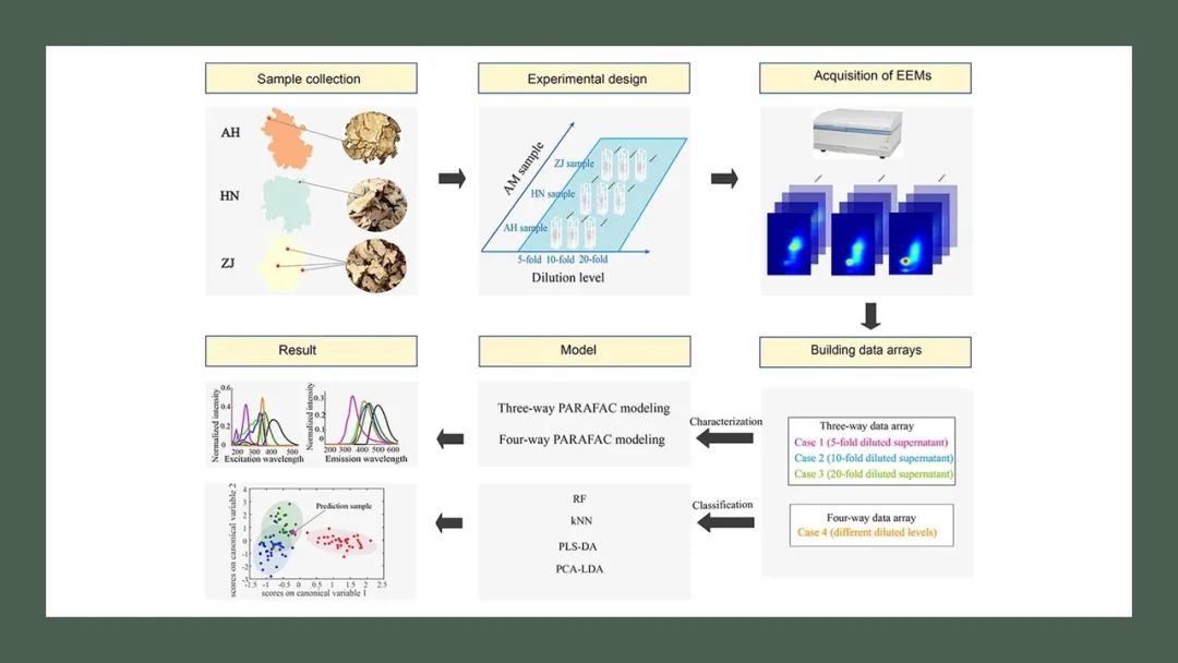 香精與香料(140)—白術