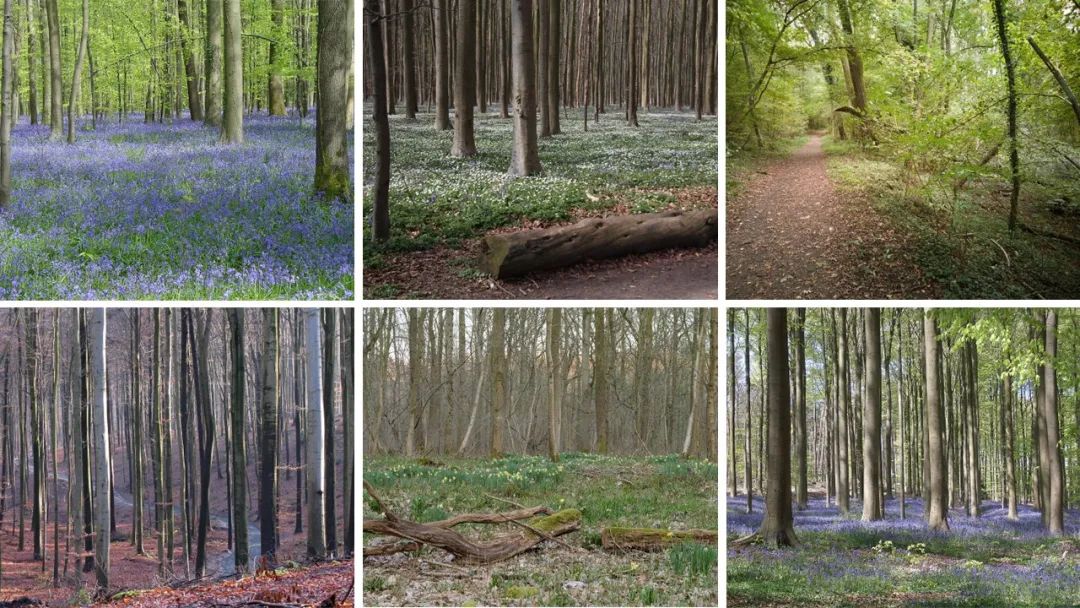 如何聞香:你需要知道的香水趨勢(2)