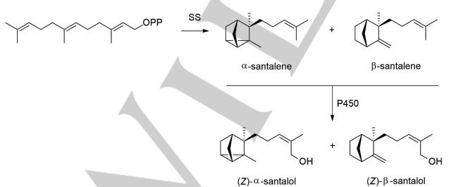 生物合成香料的化學(xué)組成、可持續(xù)性和天然性