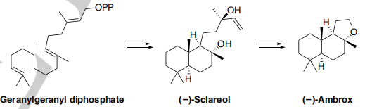 生物合成香料的化學(xué)組成、可持續(xù)性和天然性