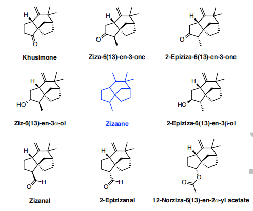 生物合成香料的化學(xué)組成、可持續(xù)性和天然性