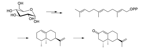 生物合成香料的化學(xué)組成、可持續(xù)性和天然性
