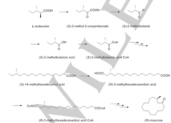 生物合成香料的化學(xué)組成、可持續(xù)性和天然性