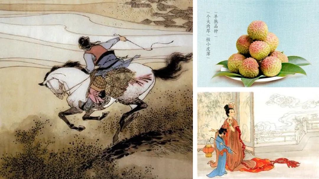 香精與香料(162)—荔枝 香精與香料(162)—荔枝