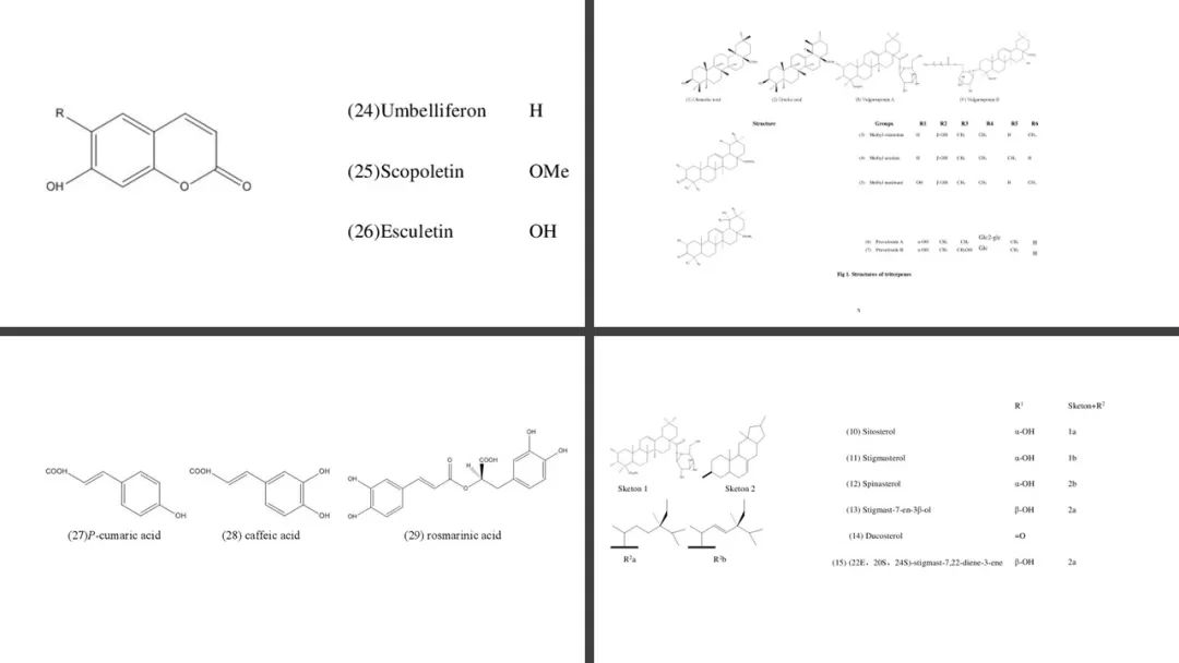 香精與香料(176)—夏枯草