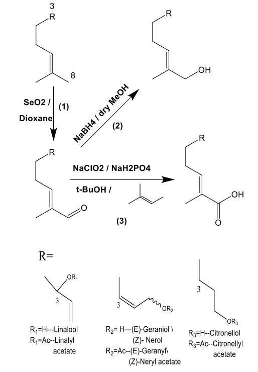 C-6不飽和無環(huán)單萜醇的結(jié)構(gòu)-氣味關(guān)系研究:一種比較的方法 C-6不飽和無環(huán)單萜醇的結(jié)構(gòu)-氣味關(guān)系研究:一種比較的方法