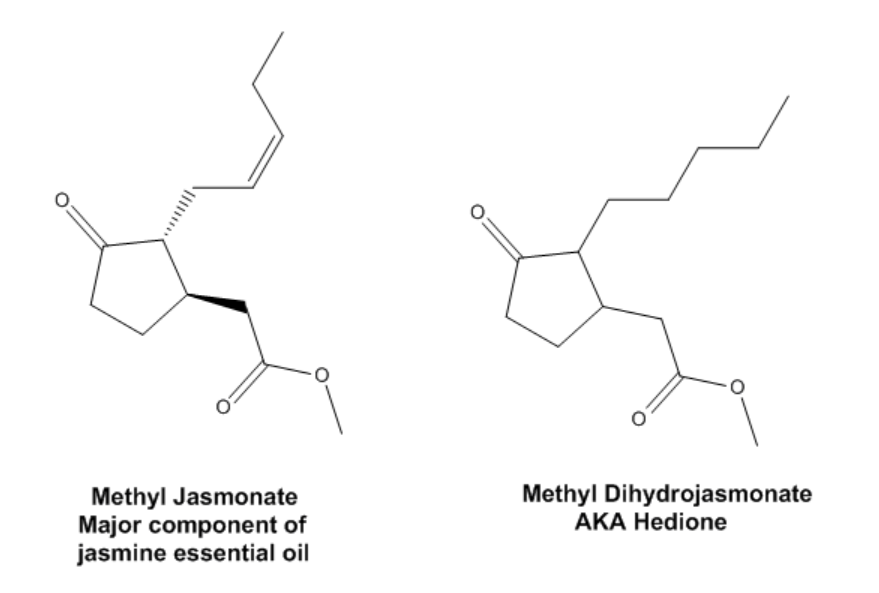 香料筆記：二氫茉莉酮酸甲酯，本身就是一種香水