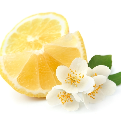 香料筆記：二氫茉莉酮酸甲酯，本身就是一種香水