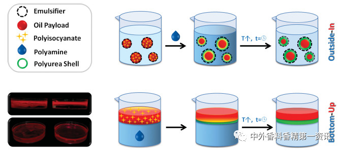 開拓香精香料遞送系統(tǒng)的潛力 開拓香精香料遞送系統(tǒng)的潛力
