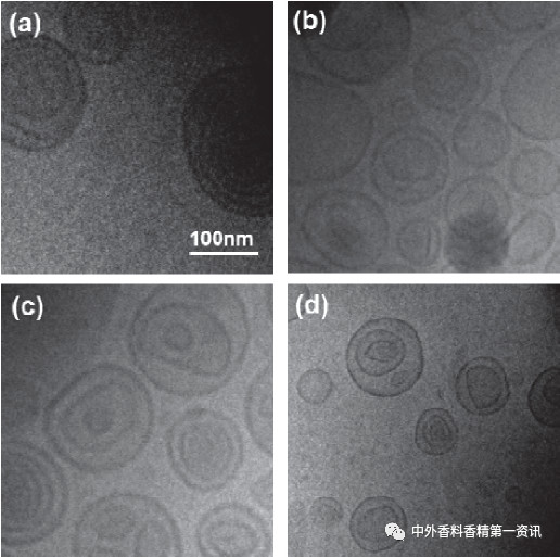 F&F文獻(xiàn)綜述:香氣釋放 F&F文獻(xiàn)綜述:香氣釋放