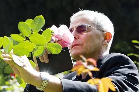 找到屬于你的香味 找到屬于你的香味