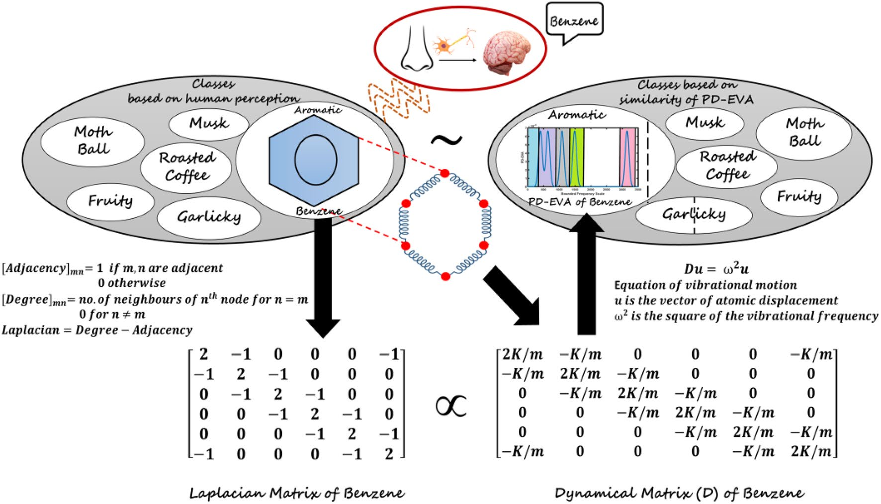 基于振動的仿生氣味分類 基于振動的仿生氣味分類
