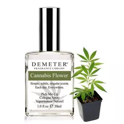 沙龍香水，你了解多少？