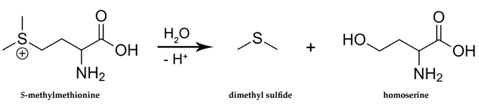 調(diào)香筆記(5)——硫化物在蔬菜和蘑菇香氣中的作用 調(diào)香筆記(5)——硫化物在蔬菜和蘑菇香氣中的作用