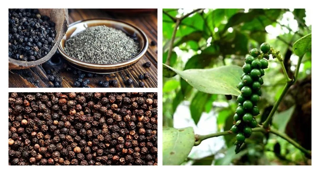 調(diào)香筆記(8)——50種常見的香水成分:氣味和起源 調(diào)香筆記(8)——50種常見的香水成分:氣味和起源