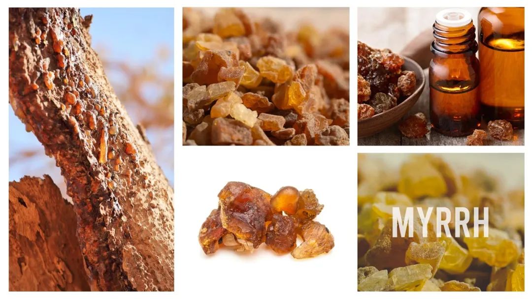 調(diào)香筆記(8)——50種常見的香水成分:氣味和起源 調(diào)香筆記(8)——50種常見的香水成分:氣味和起源