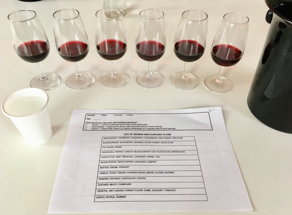 調(diào)香筆記(9)——多感官味覺感知:感官內(nèi)部和感官之間的調(diào)和、混合、融合和配對(duì)