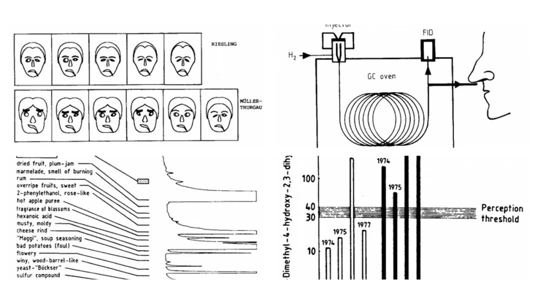 調(diào)香筆記(9)——多感官味覺感知:感官內(nèi)部和感官之間的調(diào)和、混合、融合和配對(duì)