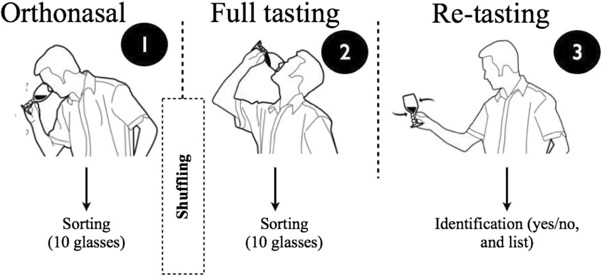 調(diào)香筆記(9)——多感官味覺感知:感官內(nèi)部和感官之間的調(diào)和、混合、融合和配對(duì)