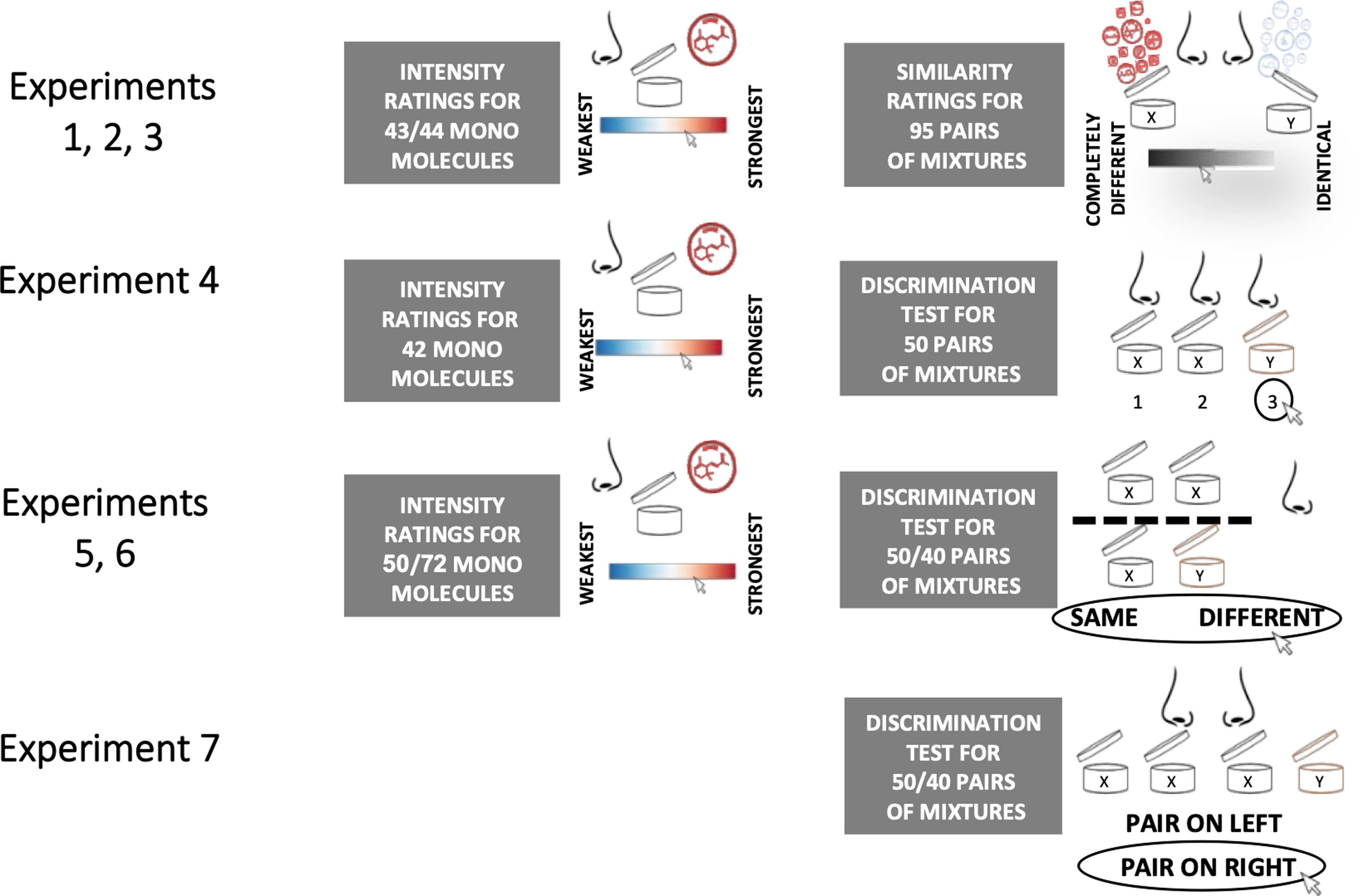 調(diào)香筆記(9)——多感官味覺感知:感官內(nèi)部和感官之間的調(diào)和、混合、融合和配對(duì)
