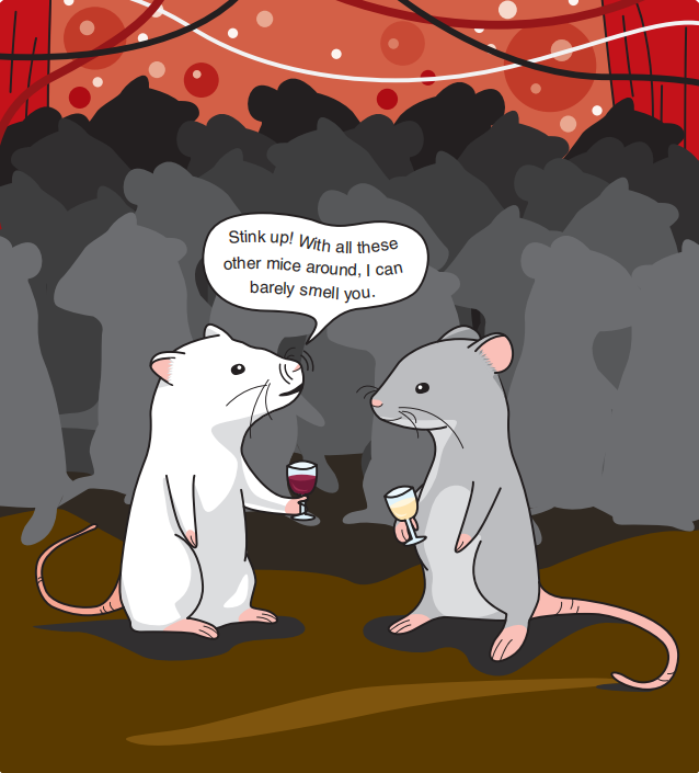 調(diào)香筆記(9)——多感官味覺感知:感官內(nèi)部和感官之間的調(diào)和、混合、融合和配對(duì)