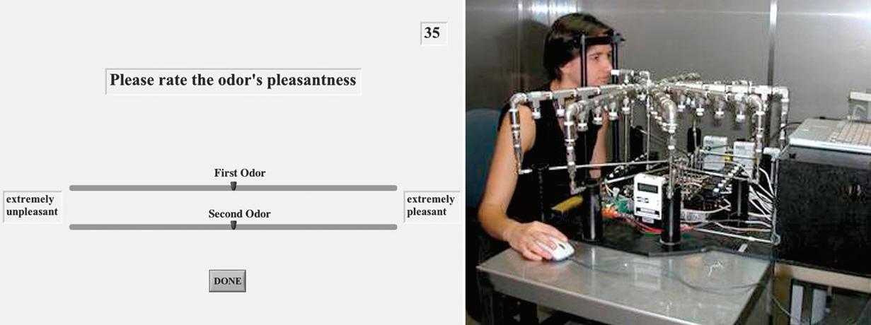 調(diào)香筆記(10)——多感官味覺感知:感官內(nèi)部和感官之間的調(diào)和、混合、融合和配對