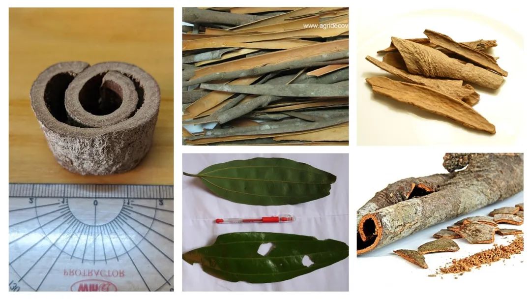 世界地理香料索引(5)—World Geographic Spice Index 世界地理香料索引(5)—World Geographic Spice Index