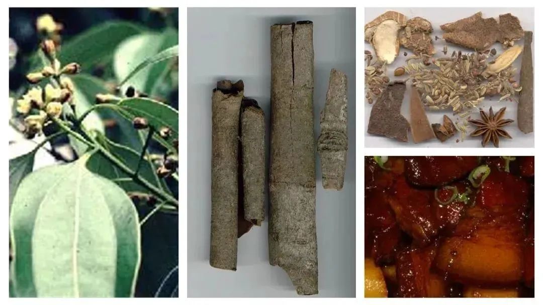 世界地理香料索引(6)—World Geographic Spice Index 世界地理香料索引(6)—World Geographic Spice Index