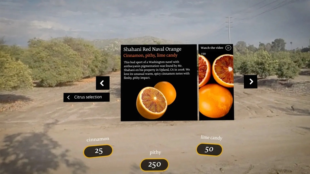 虛擬現(xiàn)實商業(yè)-奇華頓虛擬口味旅行?柑橘-把風(fēng)味創(chuàng)造到下一個水平 虛擬現(xiàn)實商業(yè)-奇華頓虛擬口味旅行?柑橘-把風(fēng)味創(chuàng)造到下一個水平
