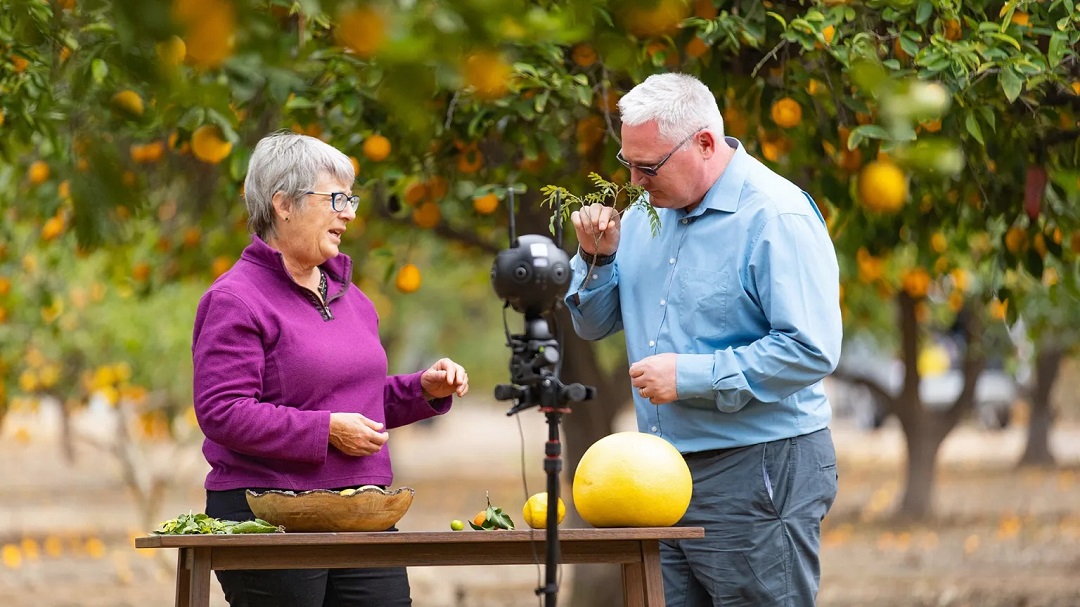 虛擬現(xiàn)實商業(yè)-奇華頓虛擬口味旅行?柑橘-把風(fēng)味創(chuàng)造到下一個水平 虛擬現(xiàn)實商業(yè)-奇華頓虛擬口味旅行?柑橘-把風(fēng)味創(chuàng)造到下一個水平