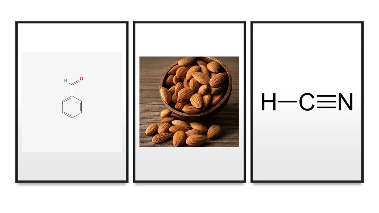 人工智能預(yù)測(cè)人類聞到的化學(xué)物質(zhì)是什么氣味 人工智能預(yù)測(cè)人類聞到的化學(xué)物質(zhì)是什么氣味