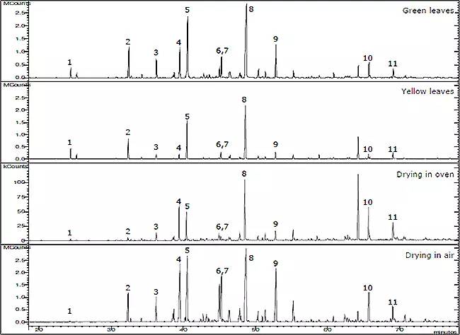香水有什么化學(xué)背景？