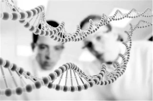 酚類化合物在調(diào)和香精中有什么用途？