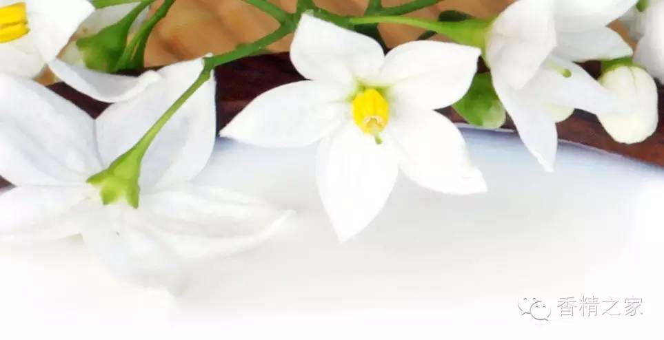 一款香水里有多少成分才足夠？