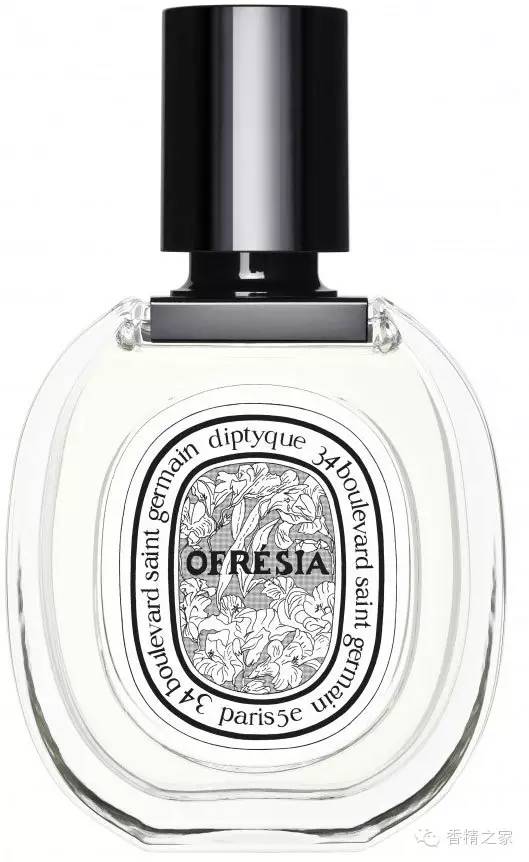 小蒼蘭:鮮花初長(zhǎng)成 小蒼蘭:鮮花初長(zhǎng)成