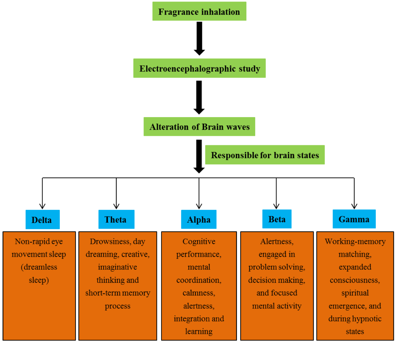 腦電圖與香水有什么關(guān)系? 腦電圖與香水有什么關(guān)系?