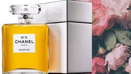 一瓶香水里究竟用了多少朵玫瑰？