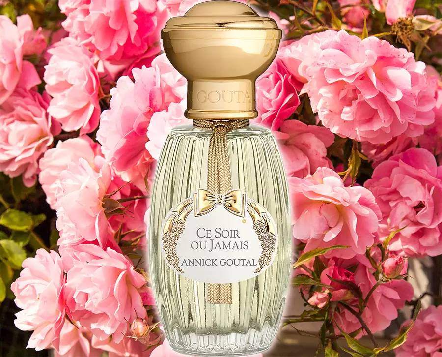 一瓶香水里究竟用了多少朵玫瑰？