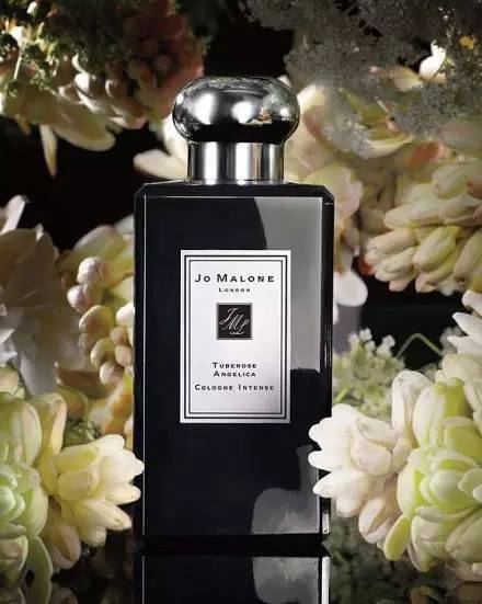 愛(ài)上晚香玉 愛(ài)上晚香玉