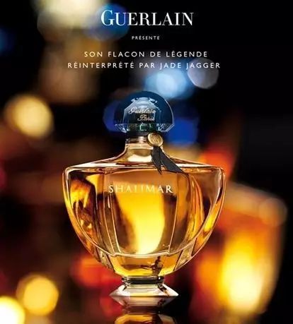 陽光中的“佛手柑”，在拿破侖時期風靡“全城”