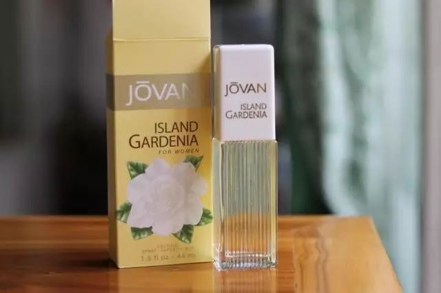 梔子花|4月過(guò)半，純白季即將來(lái)襲，請(qǐng)你穿上“梔子花”入夢(mèng)！