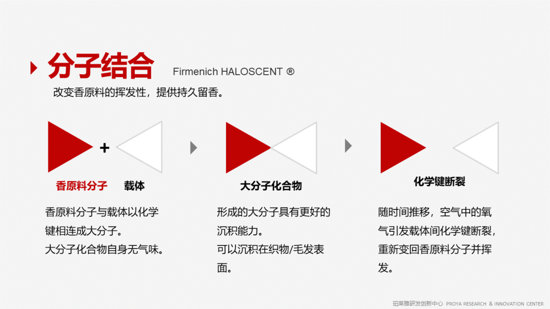 香精的常識及現(xiàn)代技術(shù) 香精的常識及現(xiàn)代技術(shù)